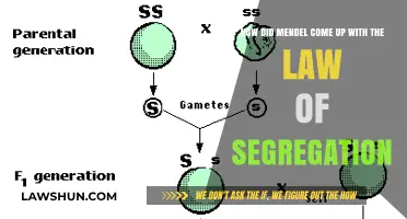 Mendel's Law of Segregation: Unraveling the Science Behind His Discovery