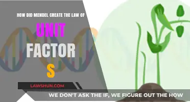 Unlocking Mendel's Law of Unit Factors