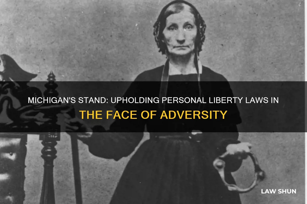 how did michigan defend the personal liberty laws
