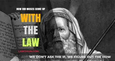 Moses and the Origins of the Law: A Divine Revelation