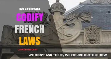 Revolutionizing Justice: Napoleon's Codification of French Laws