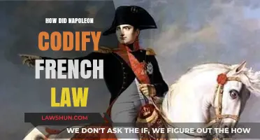 Revolutionizing Justice: Napoleon's Codification of French Law