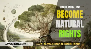 Natural Law's Evolution to Natural Rights