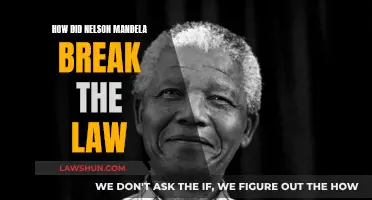 Mandela's Defiance: Breaking Laws for Freedom