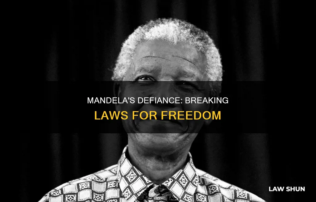 how did nelson mandela break the law