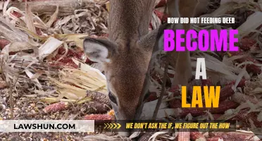 Deer Feeding Bans: How Did We Get Here?