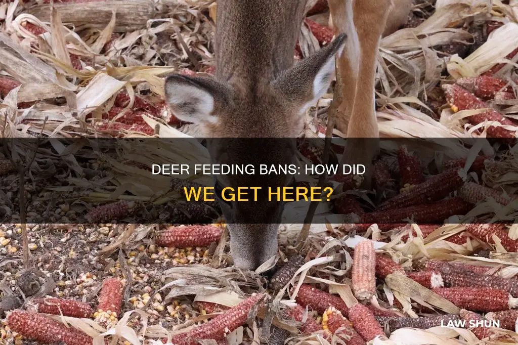 how did not feeding deer become a law