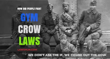 Resisting Gym Crow Laws: Strategies for Equality in Fitness Spaces