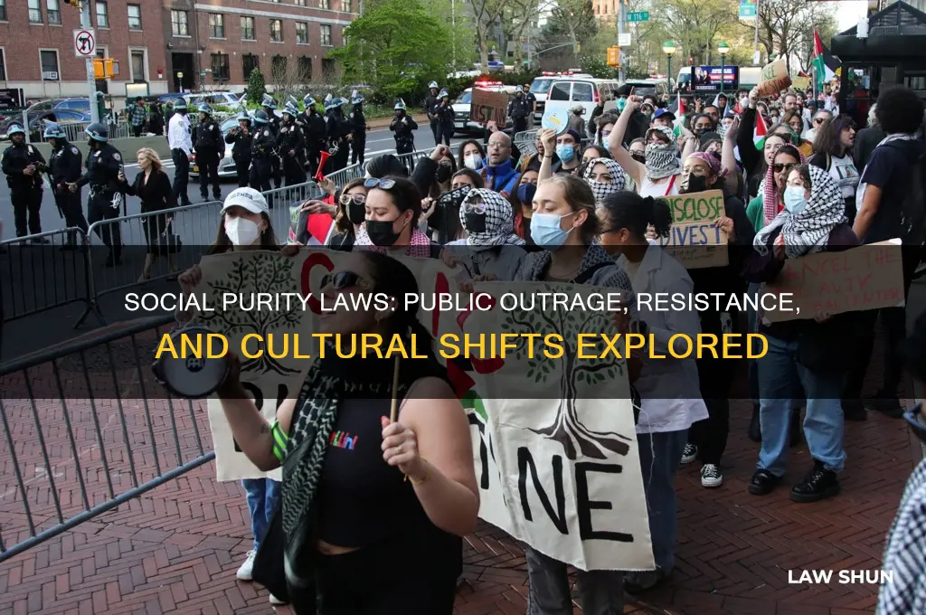 how did people react to the social purity laws