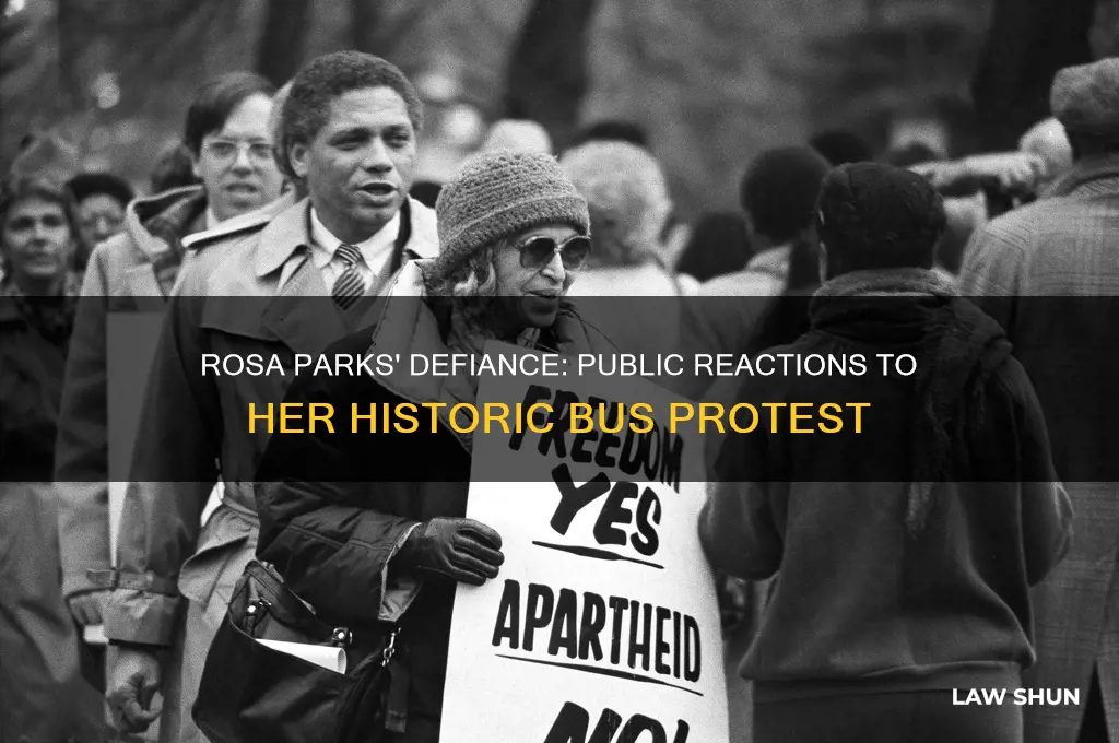 how did people react when rosa parks protested the law