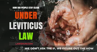 Biblical Hygiene: Staying Clean Under Leviticus Law Explained