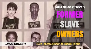 Pig Laws: Empowering Former Slave Owners Post-Emancipation