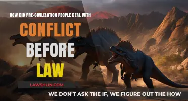 Pre-Civilization Conflict Resolution: Strategies Before Formal Laws Existed