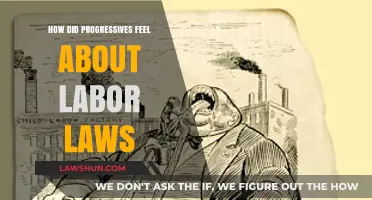 Progressive Views on Labor Laws: Advocacy for Workers' Rights and Reforms