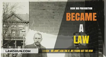 From Temperance to Legislation: The Journey of Prohibition