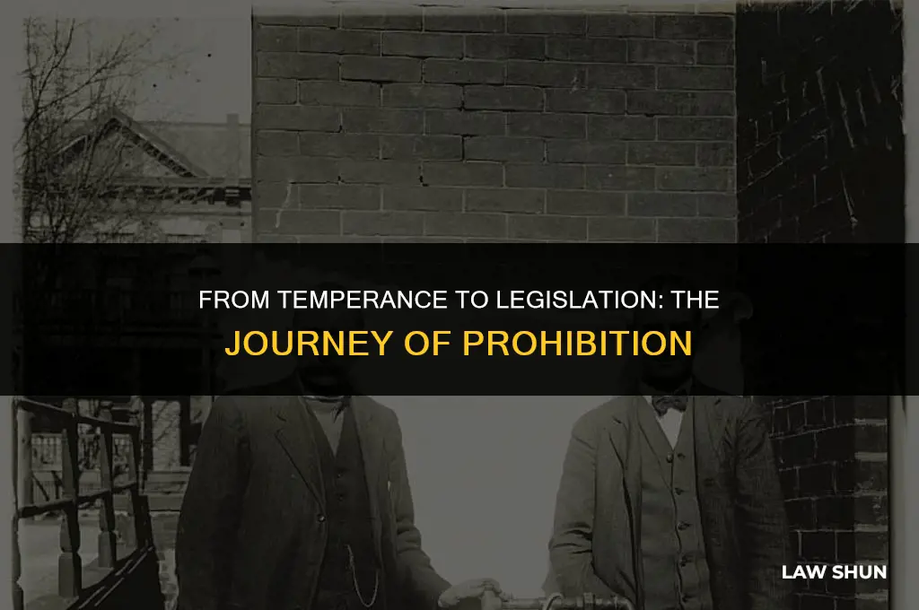 how did prohibition became a law