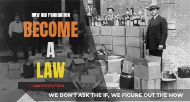 The Story Behind Prohibition's Legal Past