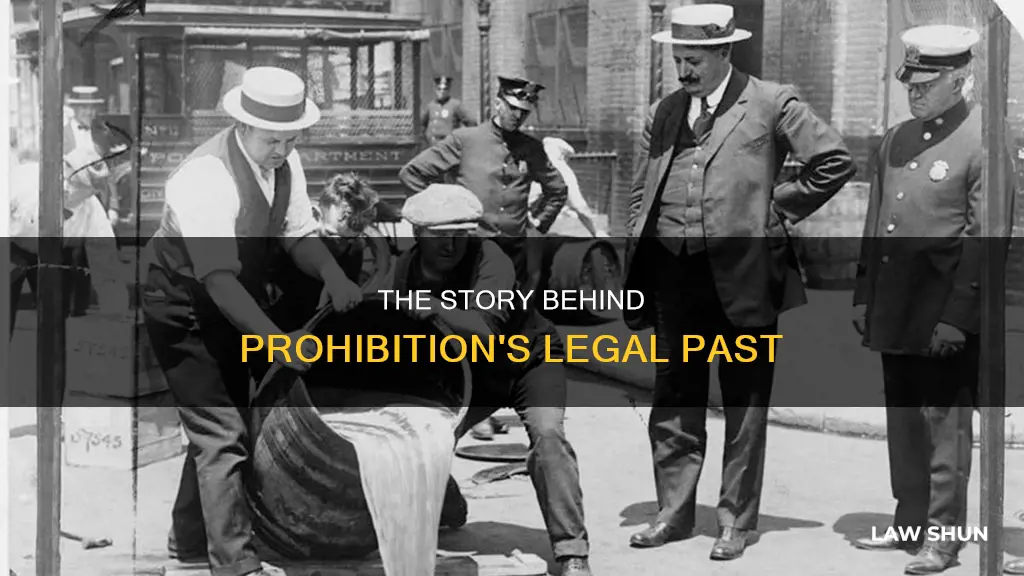 how did prohibition become a law