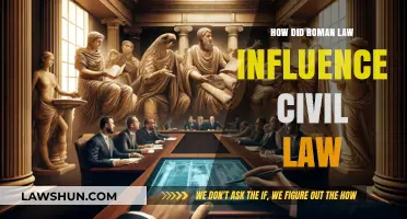 Roman Law's Enduring Legacy: Shaping Modern Civil Legal Systems