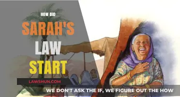 The Genesis of Sarah's Law: A Journey Through Advocacy and Change
