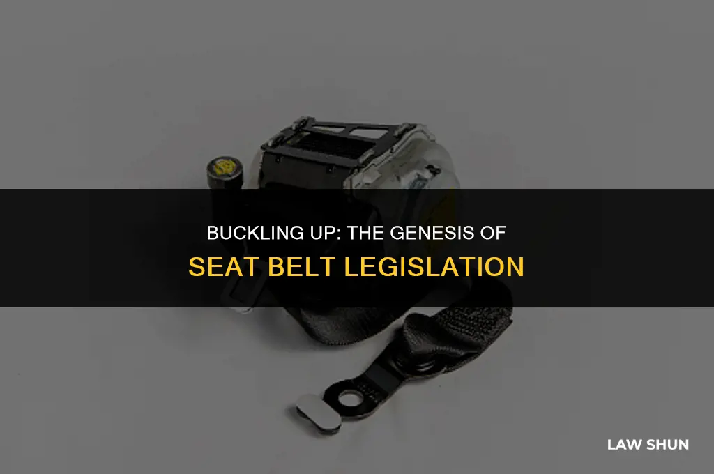 how did seat belt laws start