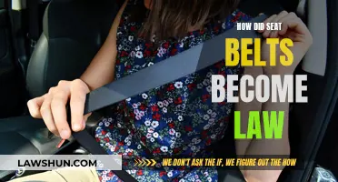 The Evolution of Seat Belt Laws: A Safety Revolution