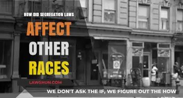 Segregation's Shadow: Impact on Non-Black Communities in America