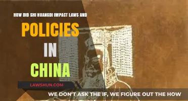 Shi Huangdi's Legacy: Shaping China's Legal and Political Landscape