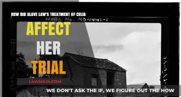 Slave Law's Impact on Celia's Trial: Justice Denied?