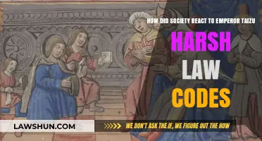 Emperor Taizu's Harsh Law Codes: Society's Reaction and Legacy