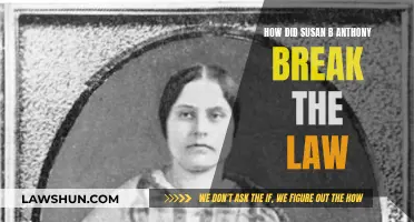 Susan B. Anthony: Breaking Laws, Changing History