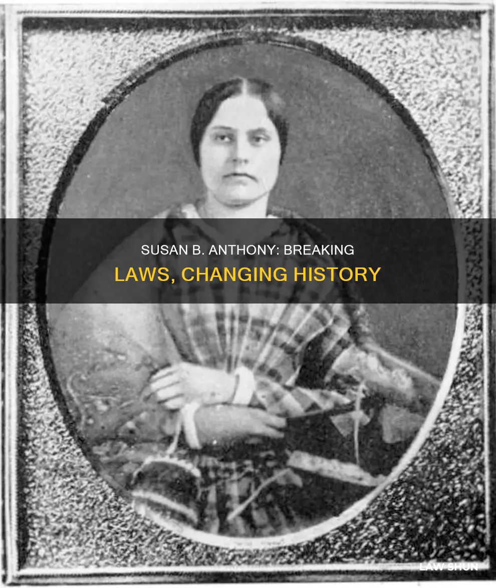 how did susan b anthony break the law