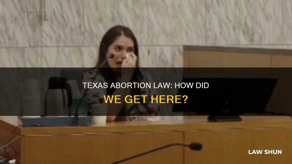 how did texas abortion law happen