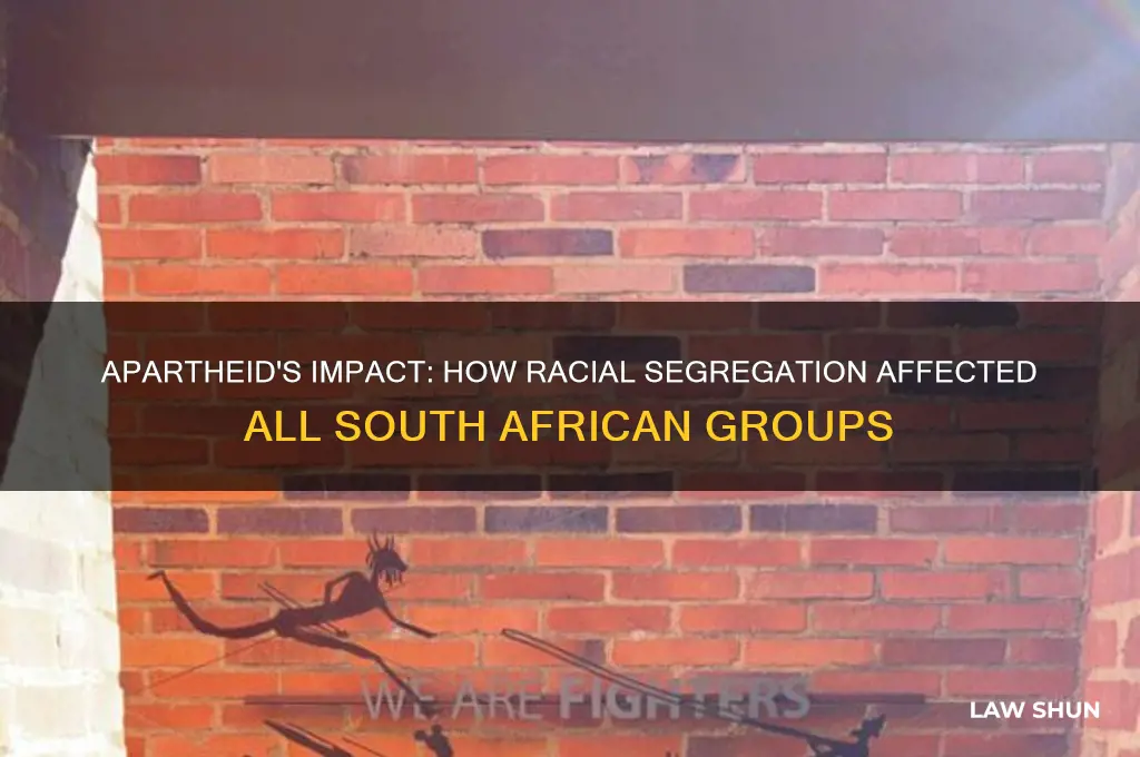 how did the apartheid laws affect all race groups