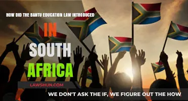 Bantu Education Law: South Africa's Segregated Education System Explained