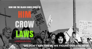 From Black Codes to Jim Crow: Evolution of Racial Oppression Laws