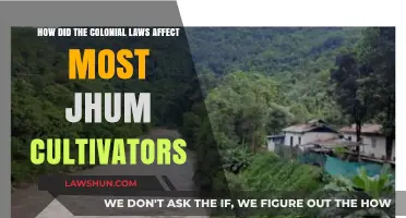 Colonial Laws' Impact on Jhum Cultivators: Struggles and Survival