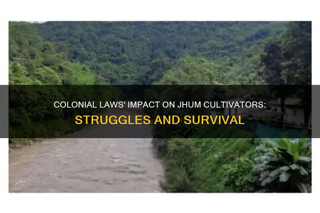 how did the colonial laws affect most jhum cultivators