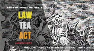Tea Act: Colonial Outrage and the Spark of Revolution