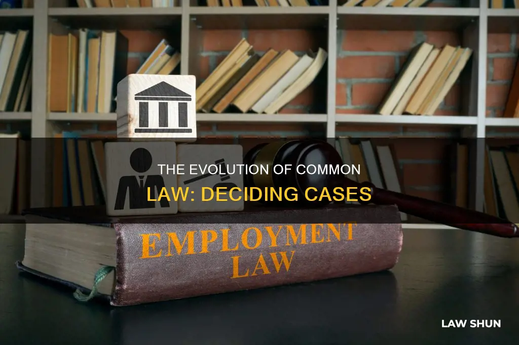 how did the common law method of deciding cases develop