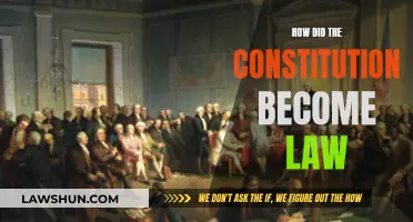 The Constitution's Journey: Law and Legacy