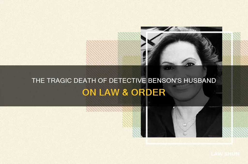 how did the detectives husband die on law and irder