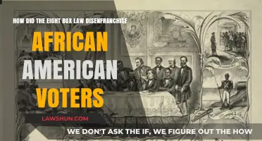 The Eight Box Law's Role in Suppressing African American Votes
