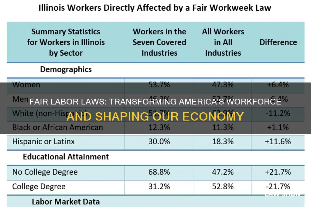 how did the fair labor laws shape our country