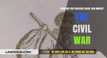 Fugitive Slave Law's Role in Sparking the Civil War