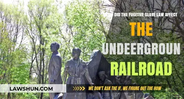 Fugitive Slave Law's Impact: Undermining the Underground Railroad's Mission