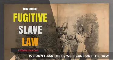 The Fugitive Slave Law: A Catalyst for Conflict and Resistance