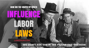 The Grapes of Wrath's Impact on Labor Laws: A Historical Analysis