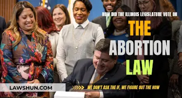 Illinois Legislature Abortion Law: Voting Breakdown