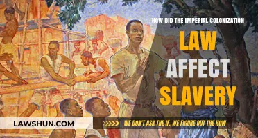 Imperial Colonization Law's Impact on Slavery: A Historical Analysis